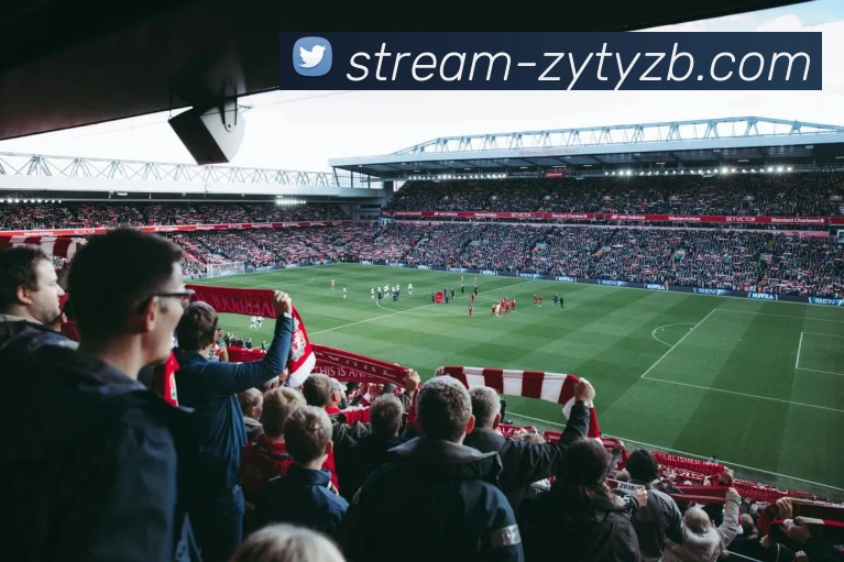 App Interface Preview